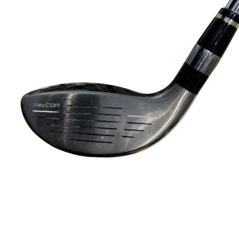 �u�q�Q�r�@���[�e�B���e�B�@�t�S