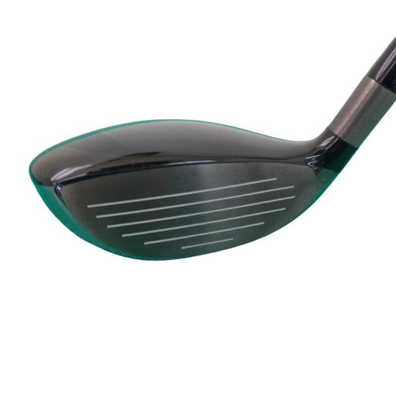 �`�o�d�w�@�t�v�i�Q�O�Q�S�j�@�P�X°