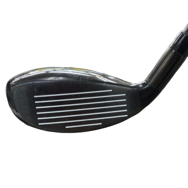 �w�Q�@�g�n�s�@�t�T