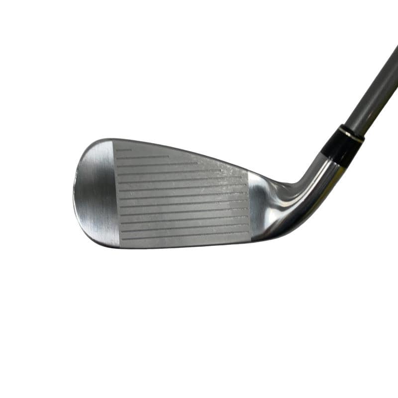 �������@���{�i�Q�O�P�X�j�@�t�T