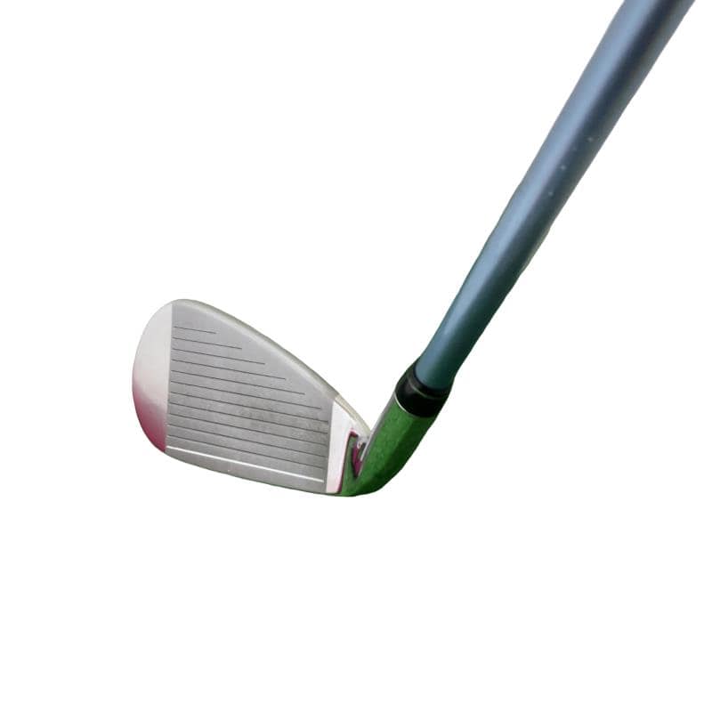 �s�n�t�q�@�a�@�i�f�q�i�u���[�j�@�T�r�@���f�B�[�X�i���{���F�T�{�Z�b�g�j