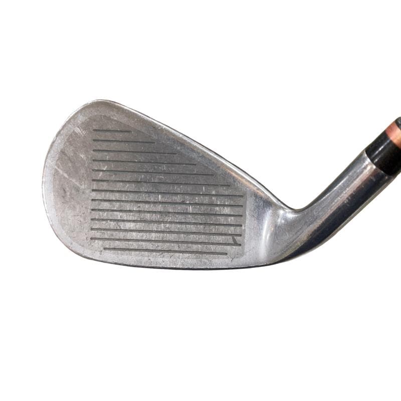 �i�o�w�@�`�Q�T�@�@�U�r�i���{���F�T�{�Z�b�g�j