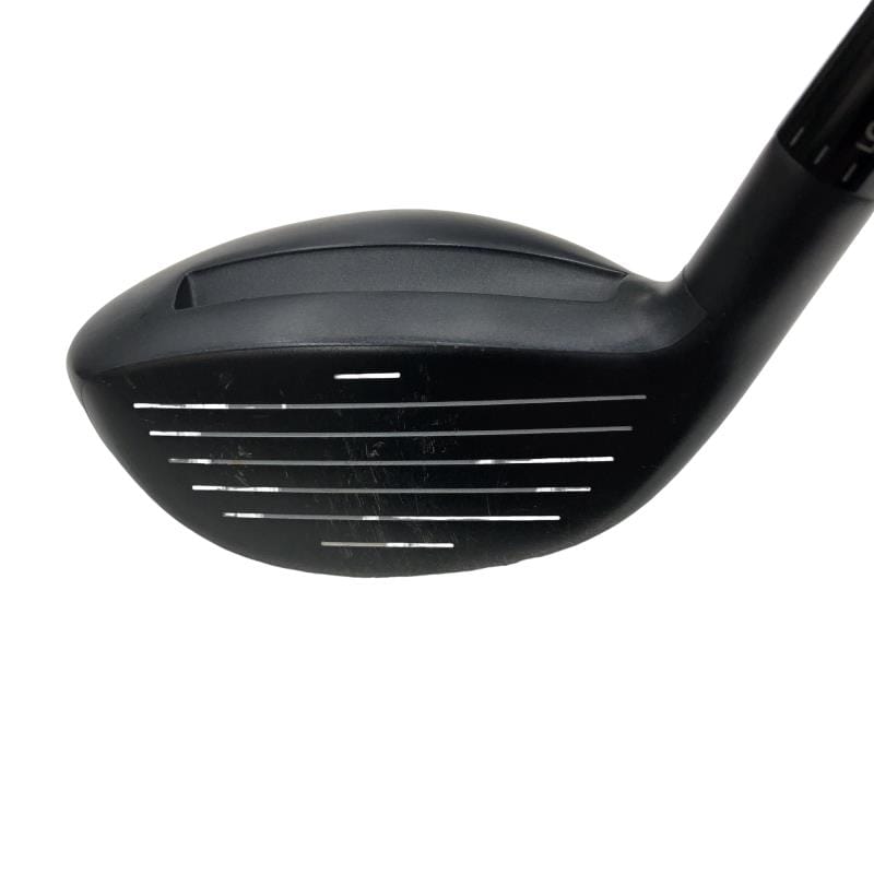 �`���������@�w�s�c�@�����@�P�W°