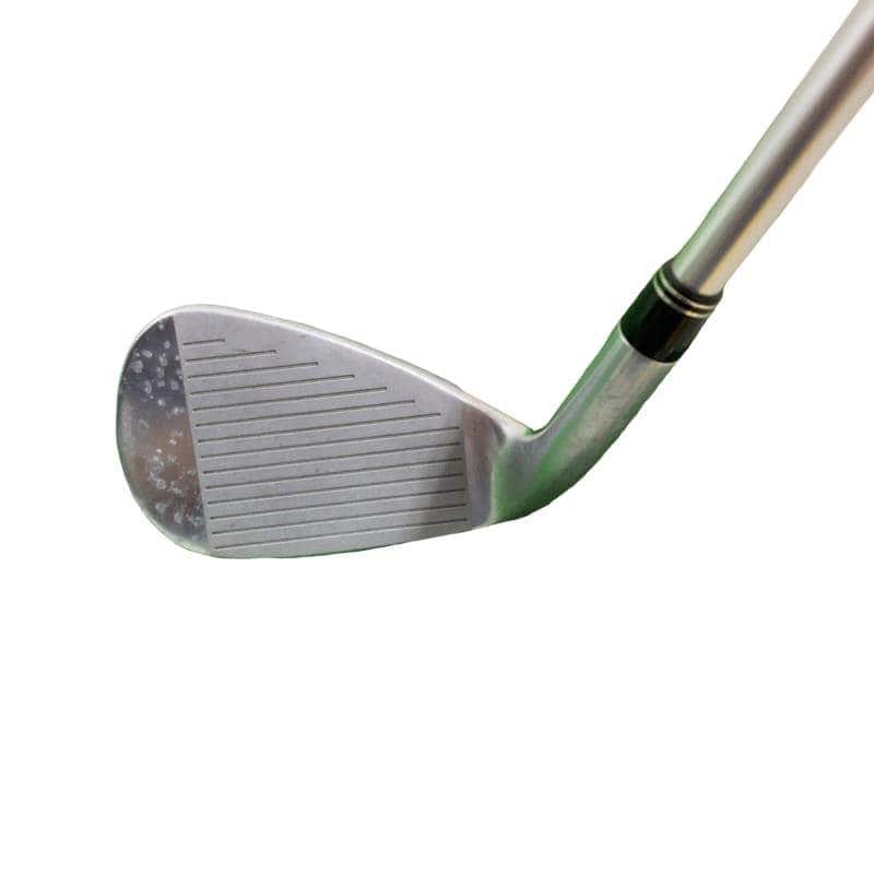 �o�g�x�y�i�Q�O�P�U�j�@�b�k�@�T�r�@���f�B�[�X�i���{���F�T�{�Z�b�g�j