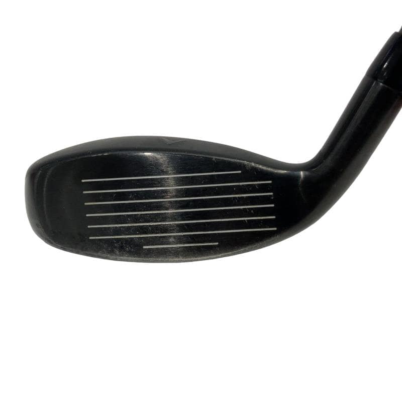 �w�q�@�P�U�@�n�r�@�t�R