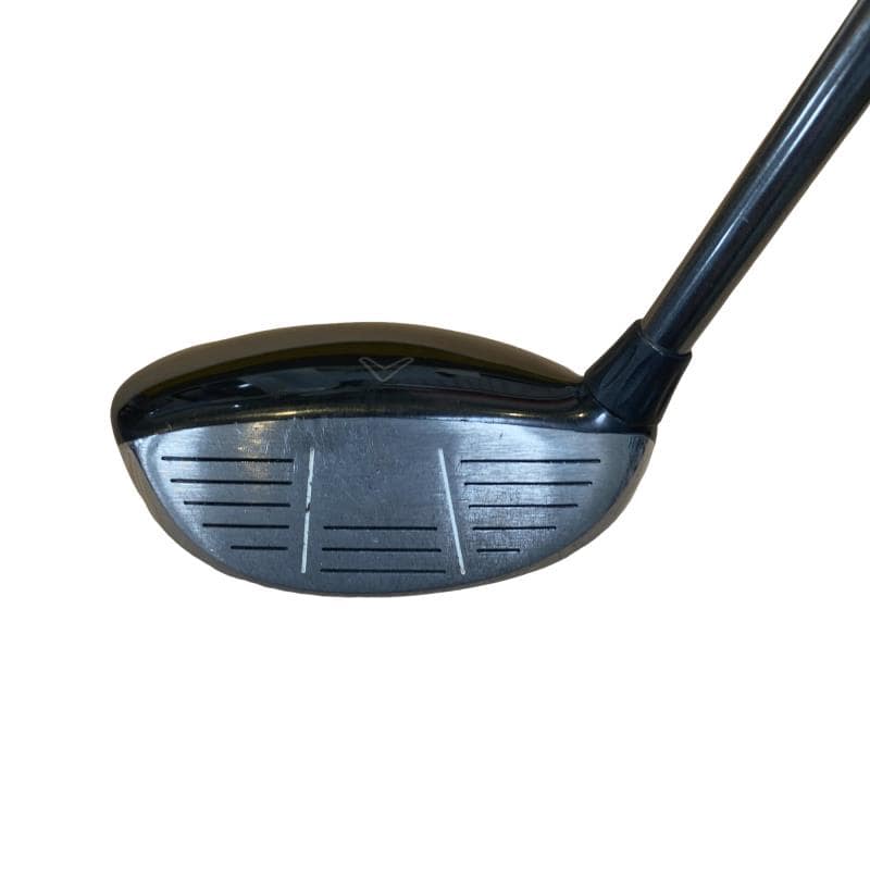 �w�@���[�e�B���e�B�@�R�g�i�Q�P°�j