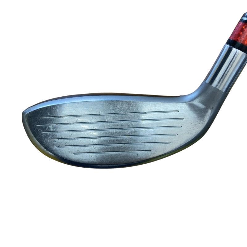 �d�y�n�m�d�@���[�e�B���e�B�@�t�S