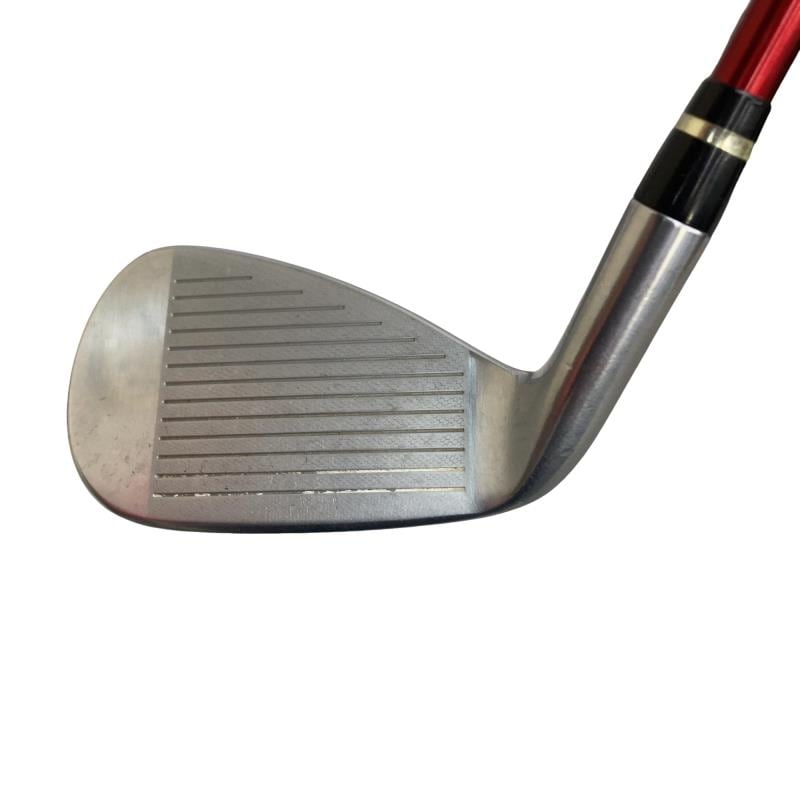 �������������@�q�l�w�@�t�c�{�Q�@�V�r�i���{���F�T�{�Z�b�g�j