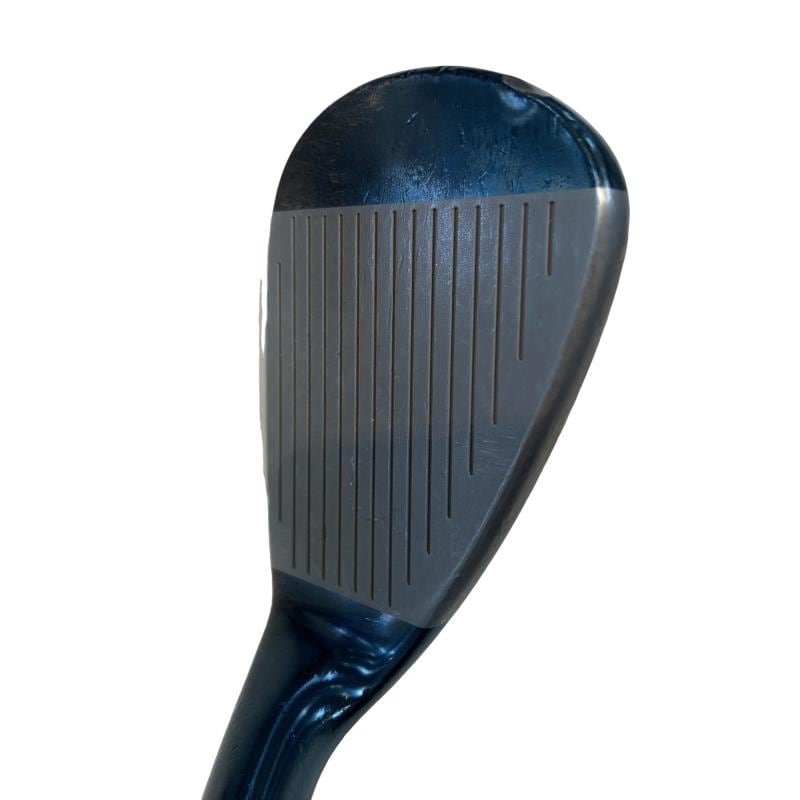 �l�����������@�s�Q�O�i�u���[�j�@�T�O°�^�O�V°