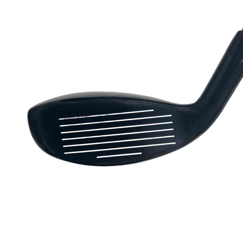 �w�Q�@�g�n�s�@�t�R