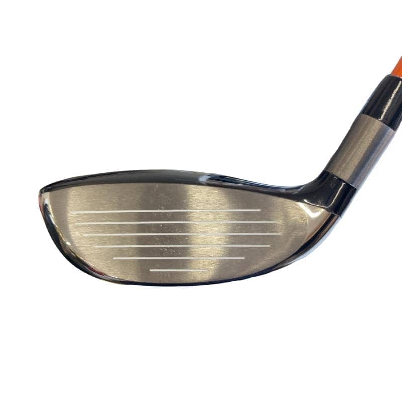 �`�o�d�w�@�t�v�i�Q�O�Q�S�j�@�P�X°