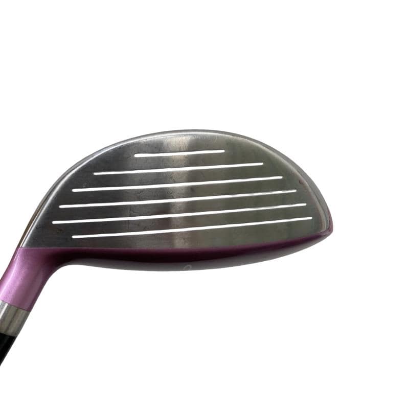 ���������i�Q�O�P�Q�j�@�V�v�@���f�B�[�X