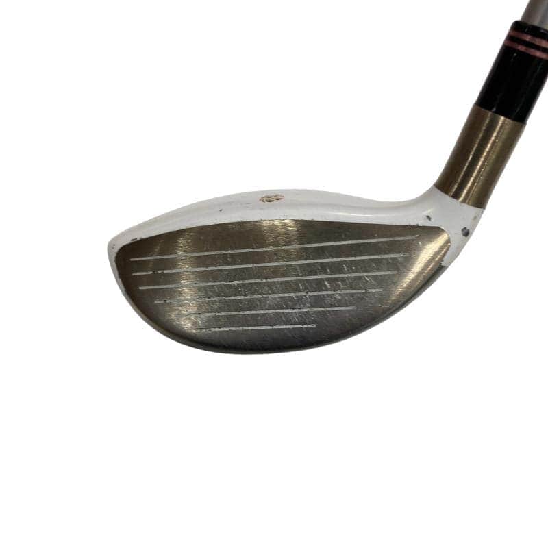 �f�k�n�h�q�d�@�e�@�T�v�@���f�B�[�X