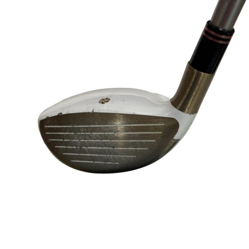 �f�k�n�h�q�d�@�e�@�V�v�@���f�B�[�X