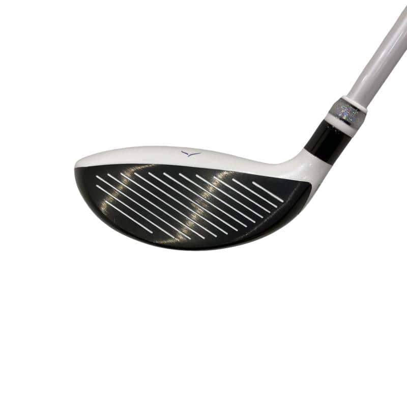 �x�n�m�d�w�@�e���������i�Q�O�Q�O�j�@�T�v