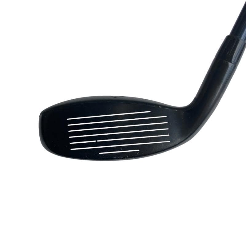 �w�q�@�P�U�@�n�r�@�t�R