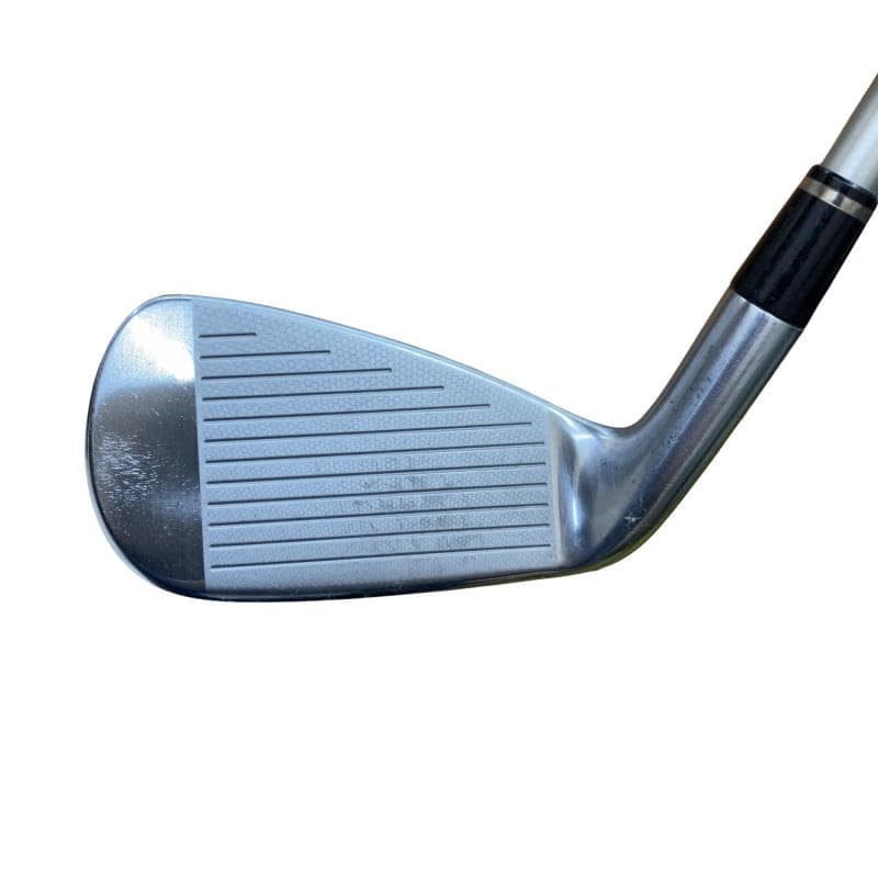 �������������@�q�l�w�@�t�c�{�Q�@�V�r�i���{���F�T�{�Z�b�g�j