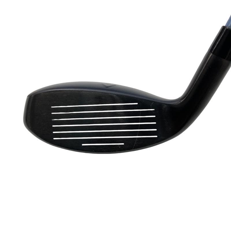 �w�q�@�t�T�@���f�B�[�X