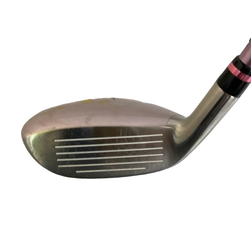 �d�t�q�t�r�@�t�T�^�U�@���f�B�[�X