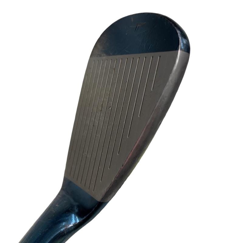 �l�����������@�s�Q�O�i�u���[�j�@�S�W°�^�O�W°