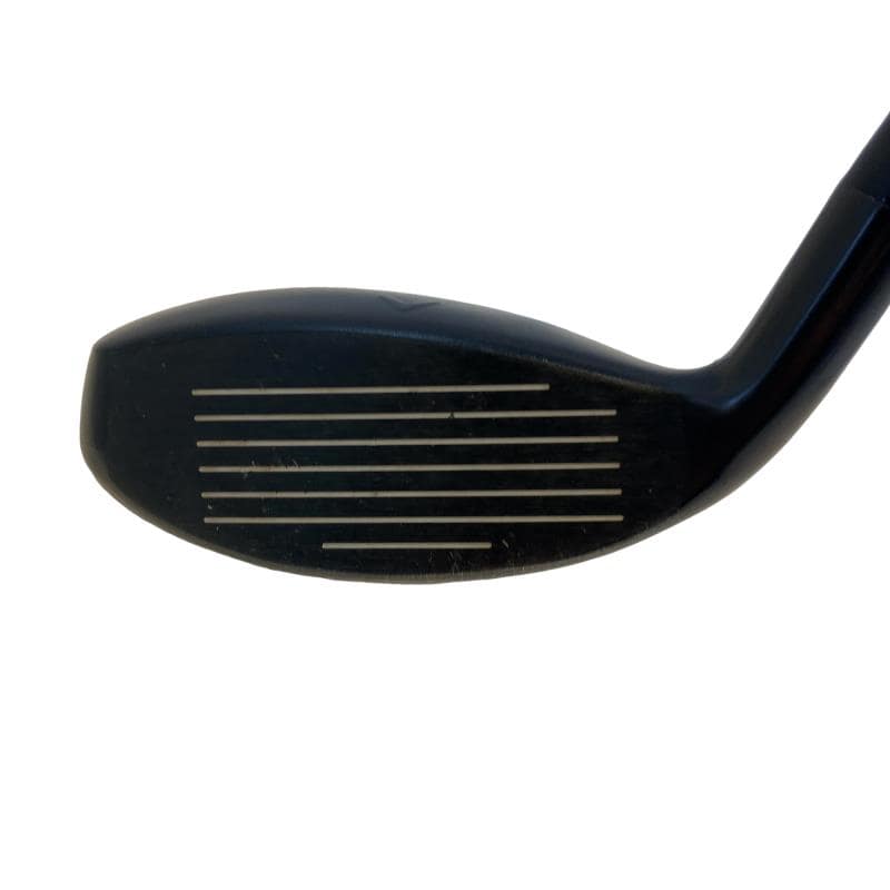 �w�q�@�t�S�@���f�B�[�X