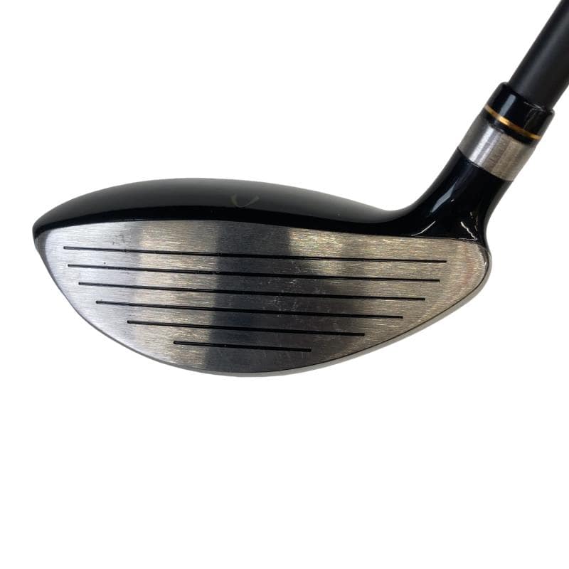 �j�Q�j�@���������O�X���[�e�B���e�B�@�t�T