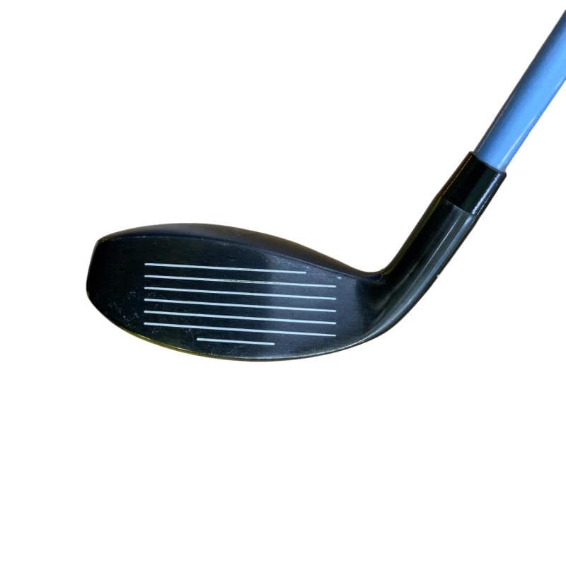 �w�q�@�t�S�@���f�B�[�X