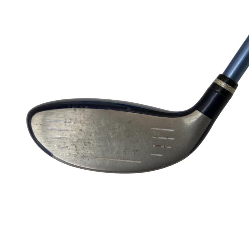 �������������@�t�c�{�Q�@�t�T�@���f�B�[�X