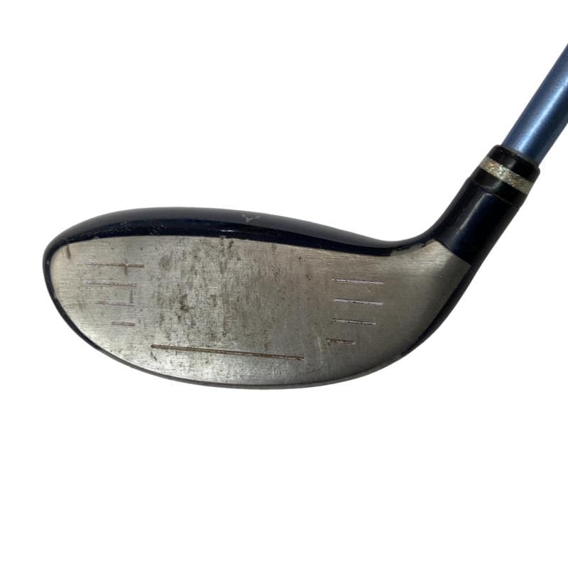 �������������@�t�c�{�Q�@�t�U�@���f�B�[�X