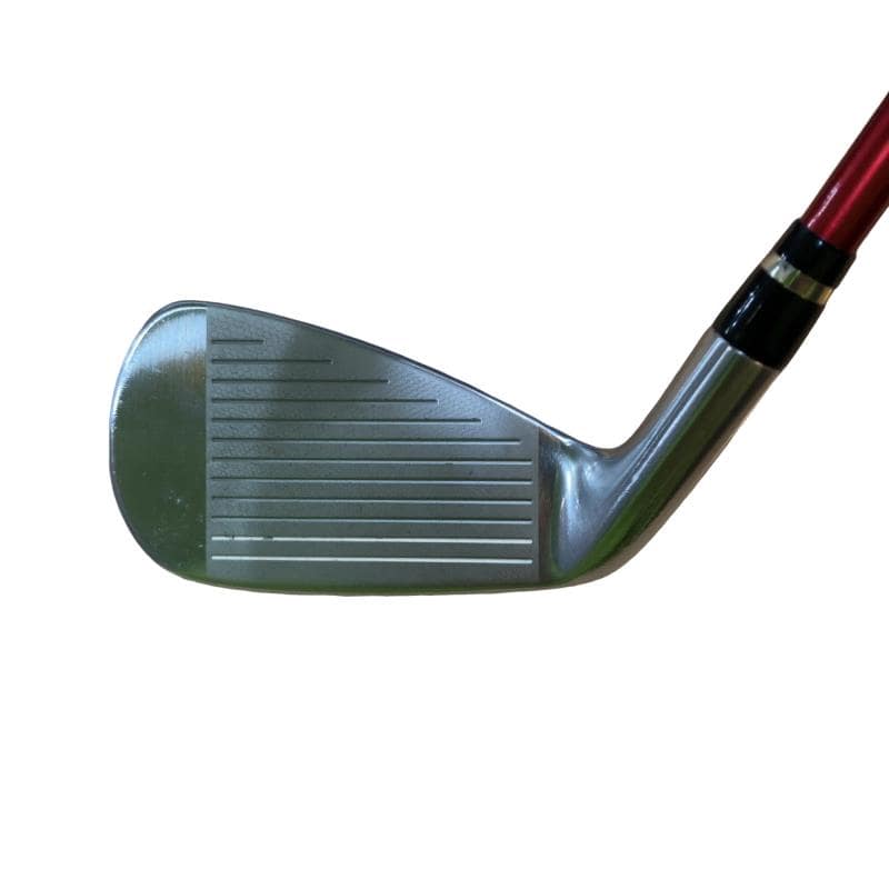 �������������@�q�l�w�@�t�c�{�Q�@�V�r�i���{���F�T�{�Z�b�g�j