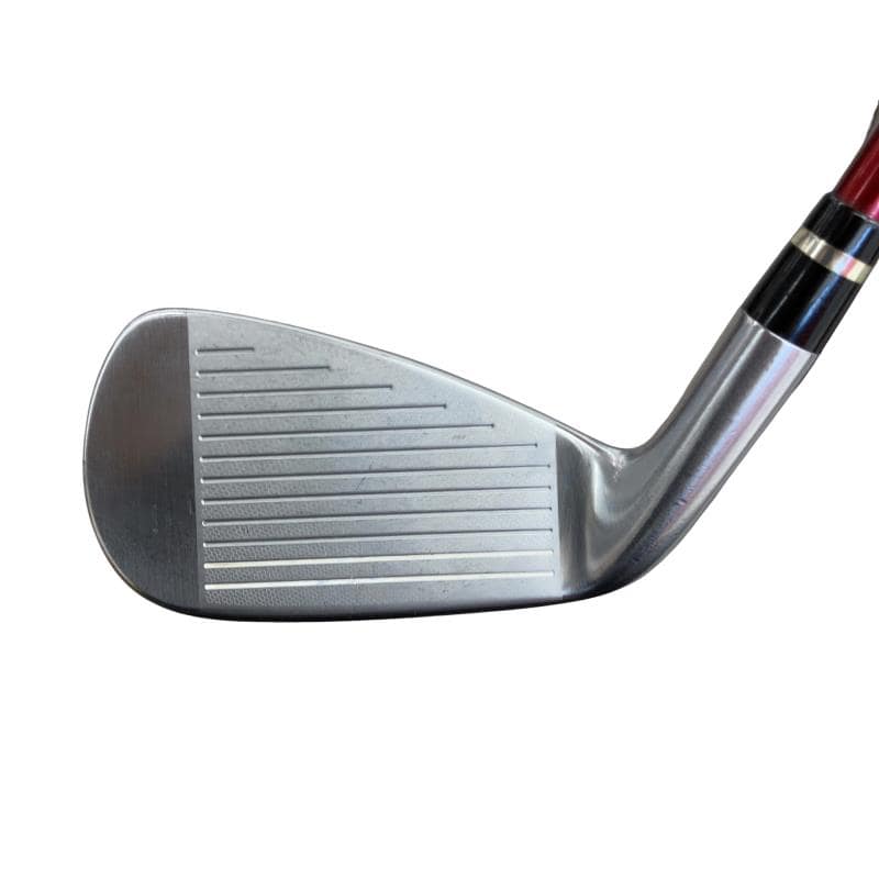 �������������@�q�l�w�@�t�c�{�Q�@�V�r�i���{���F�T�{�Z�b�g�j