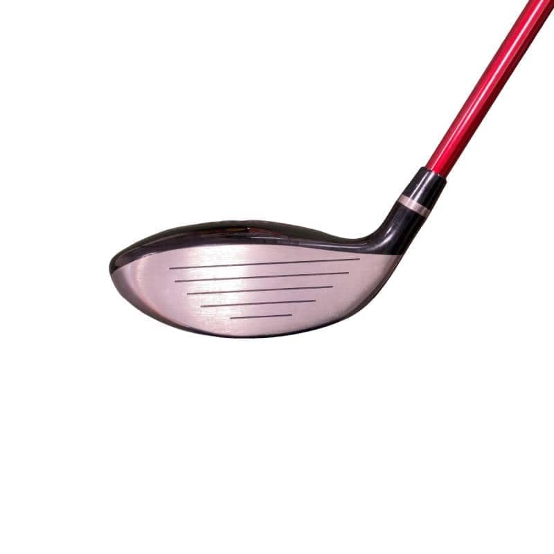 �q�l�w�@�u�c�@�R�v