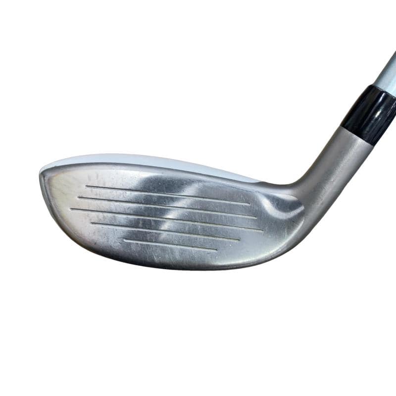 �a�q�|�w�@�t�T�@���f�B�[�X