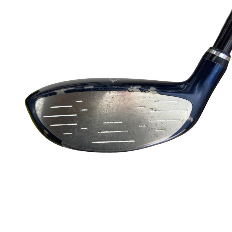 �w�w�h�n�i�Q�O�P�O�j�@�T�v�@���f�B�[�X�@�i�u���[�j