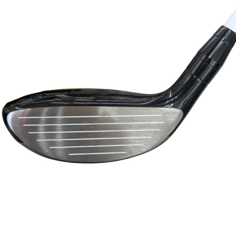 �������������@�q�l�w�@�t�S�{�@���f�B�[�X