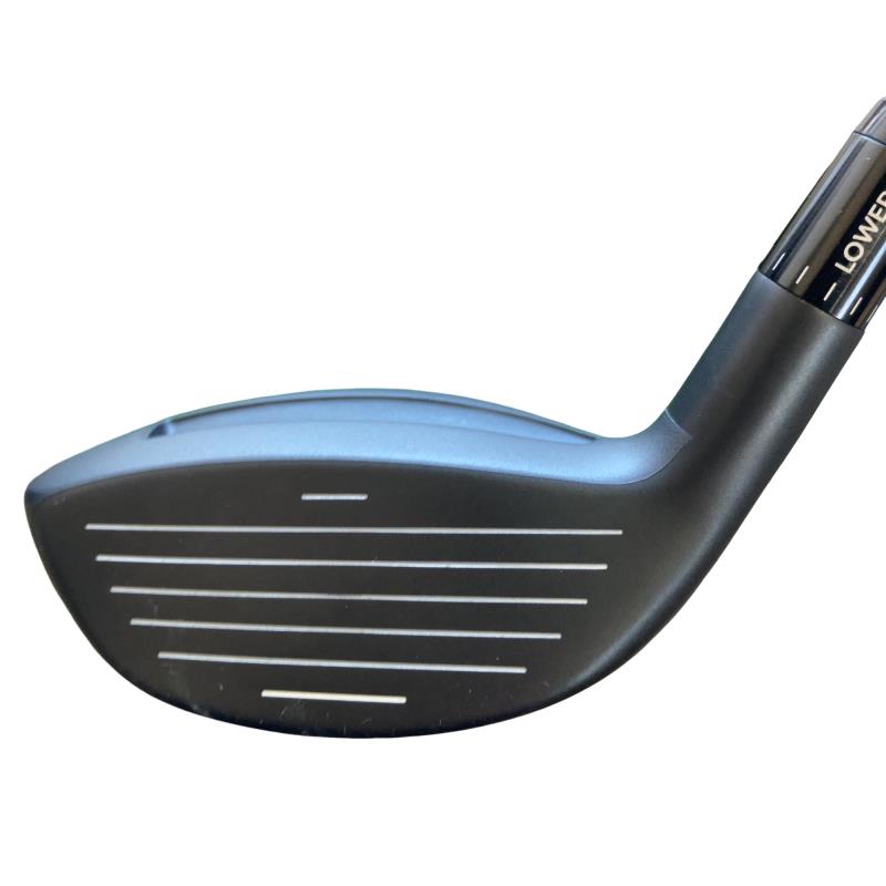 �`���������@�w�s�c�@�����@�P�W°