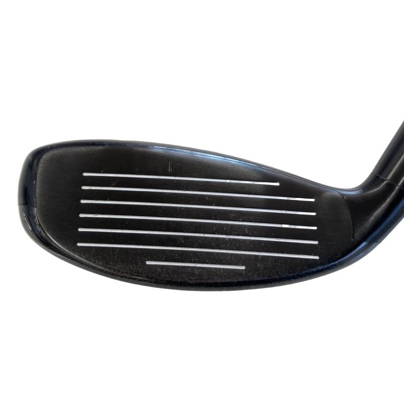 �w�Q�@�g�n�s�@�t�T