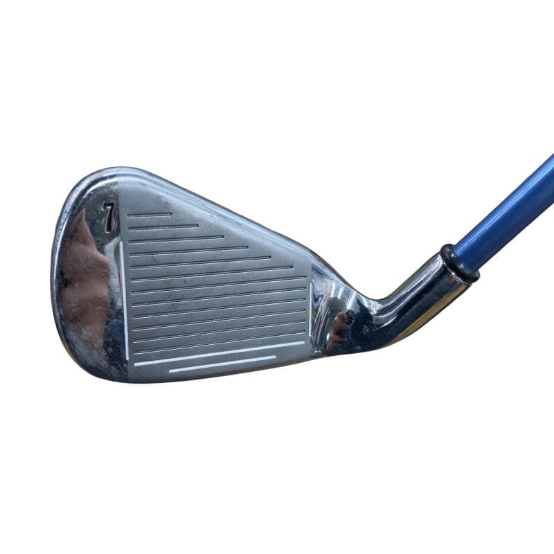 �w�E�Q�O�@�@�T�r�@���f�B�[�X�i���{���F�T�{�Z�b�g�j