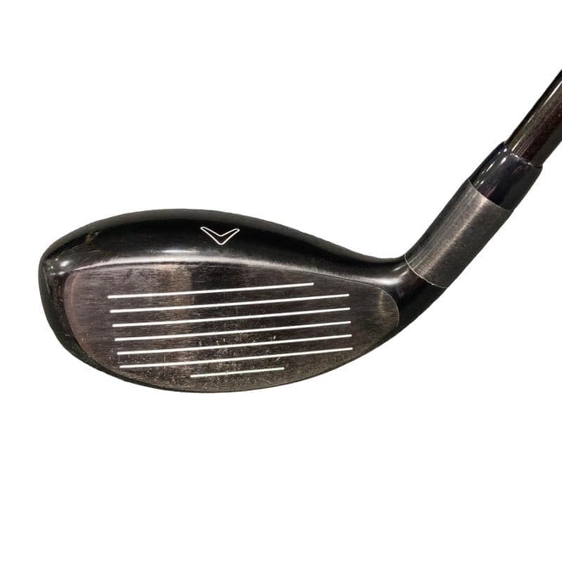 �w�Q�@�g�n�s�@�t�T