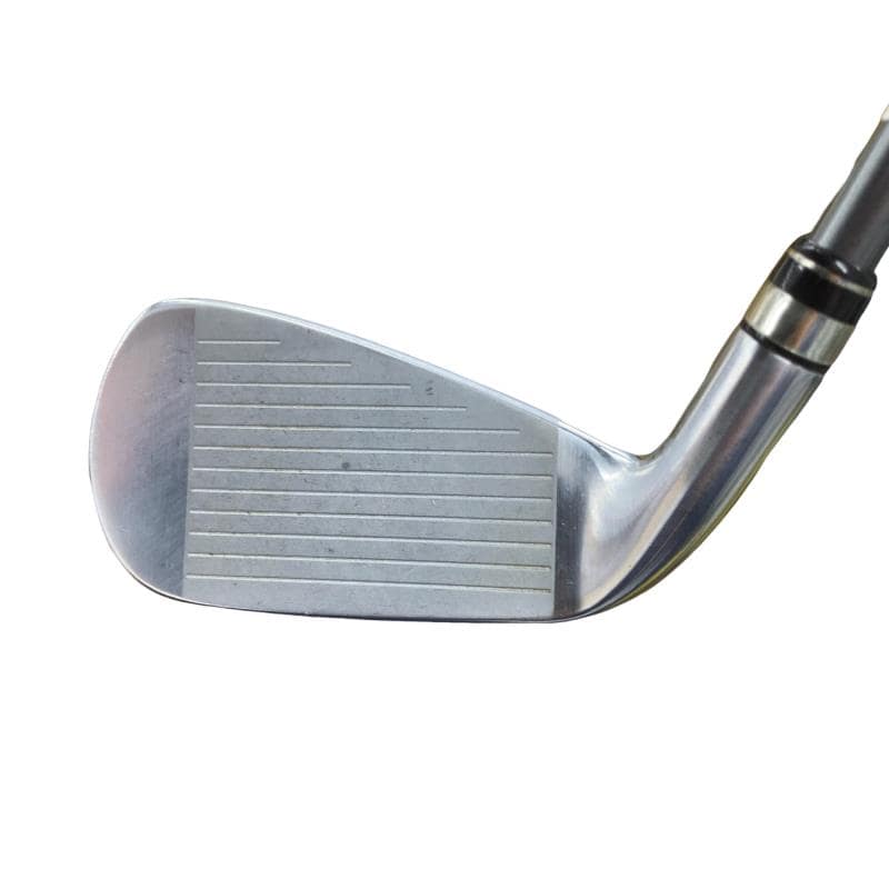 �������i�Q�O�P�X�j�@�V�r�i���{���F�T�{�Z�b�g�j