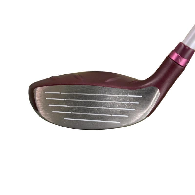 �f�@�k���Q�@�V�v�@���f�B�[�X