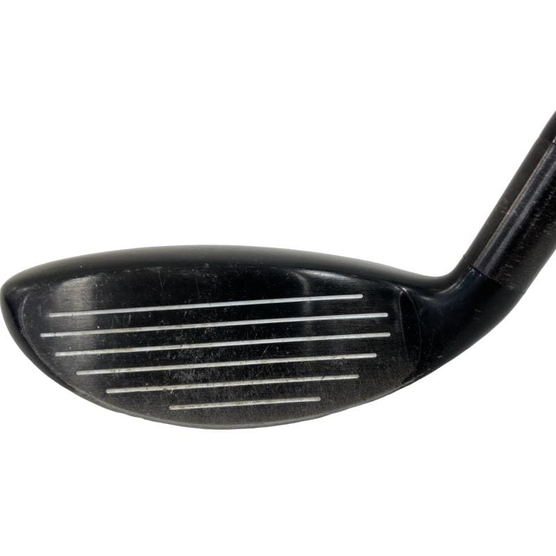 �w�@�g�n�s�@�t�T