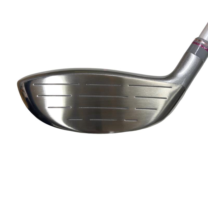 �o���������������@�b�k�i�Q�O�P�P�j�@�S�v�@���f�B�[�X