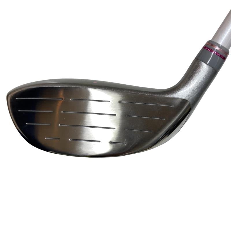 �o���������������@�b�k�i�Q�O�P�P�j�@�V�v�@���f�B�[�X