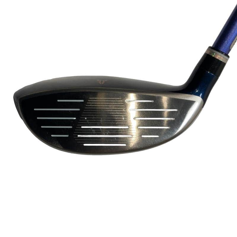 �w�w�h�n�i�Q�O�Q�O�j�@�T�v�@���f�B�[�X