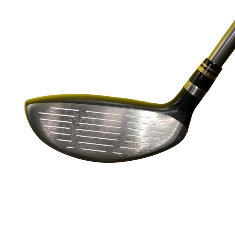 �q���������@���[�e�B���e�B�@�u���b�N�@�S�t