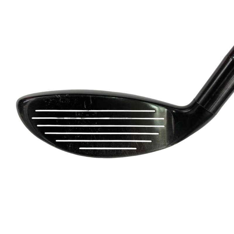 �w�@�g�n�s�@�t�S