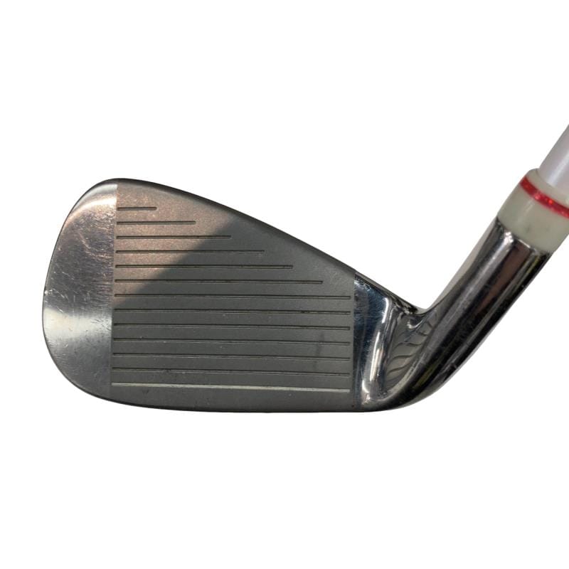 �o���������������@�b�k�i�Q�O�P�Q�j�@�T�r�@���f�B�[�X�i���{���F�R�{�Z�b�g�j