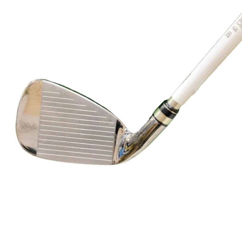 �������i�Q�O�P�R�j�@�V�r�i���{���F�V�{�Z�b�g�j