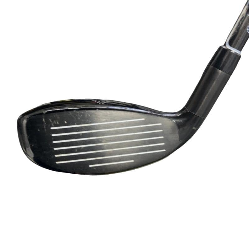 �w�Q�@�g�n�s�@�t�T